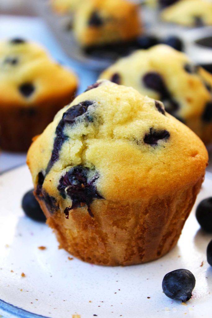 Blueberry muffin on plate with fresh blueberries on the side. 